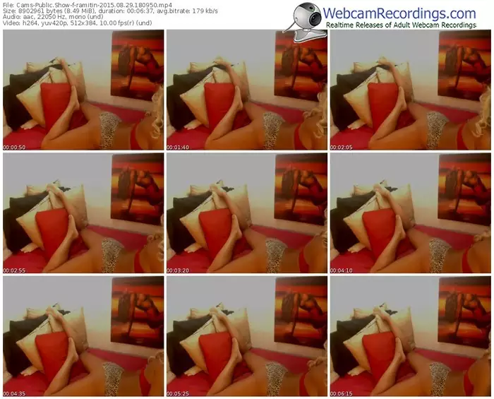 cams-ramitin-public-show-08_29_2015-18_09_50