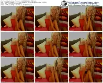 cams-ramitin-public-show-08_29_2015-22_44_54