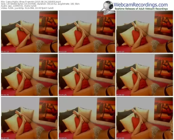 cams-ramitin-public-show-08_29_2015-23_04_55