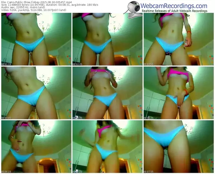 cams-abey-public-show-08_30_2015-00_54_57