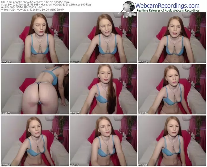 cams-siera-public-show-08_30_2015-00_59_56