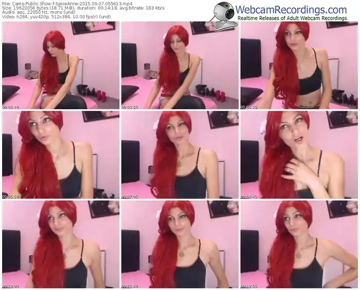 cams-spiceanne-public-show-09_07_2015-05_56_13