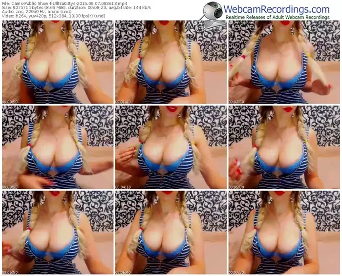 cams-ulltrakittys-public-show-09_07_2015-08_36_13