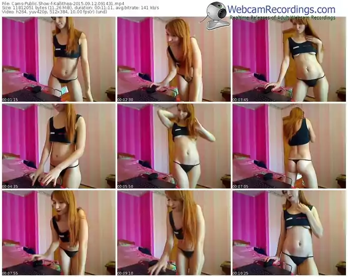 cams-kallithea-public-show-09_12_2015-09_14_31