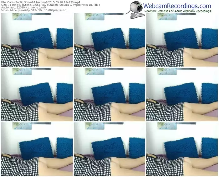 cams-albertinas-public-show-09_18_2015-13_42_26