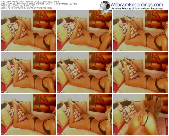 cams-ramitin-public-show-09_18_2015-00_22_11