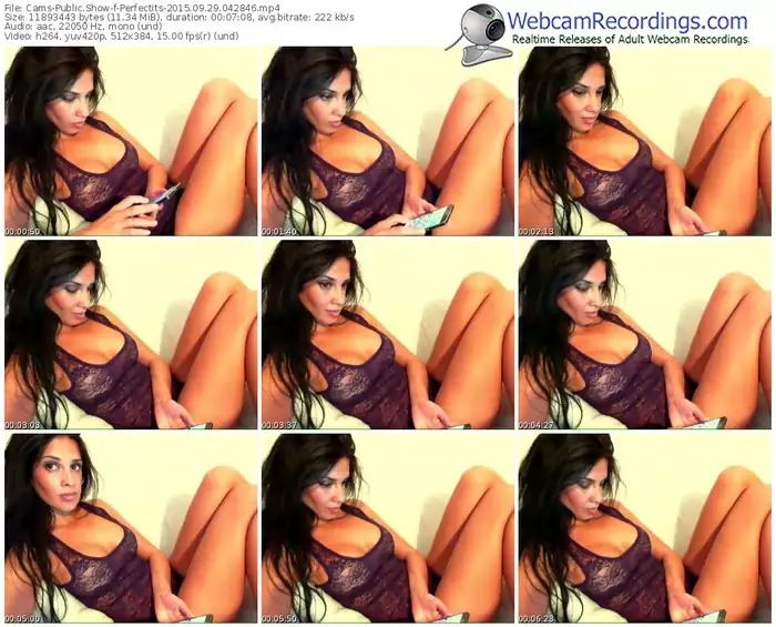 cams-perfectits-webcam-show-09_29_2015-04_28_46