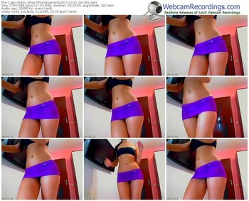 cams-purrediamond-webcam-show-10_01_2015-04_14_05