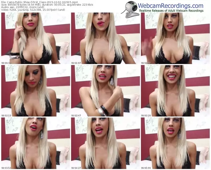 cams-first_class-webcam-show-10_02_2015-16_29_15