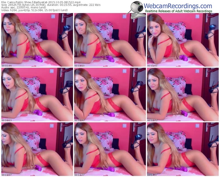 cams-barbyekat-webcam-show-10_05_2015-08_15_22