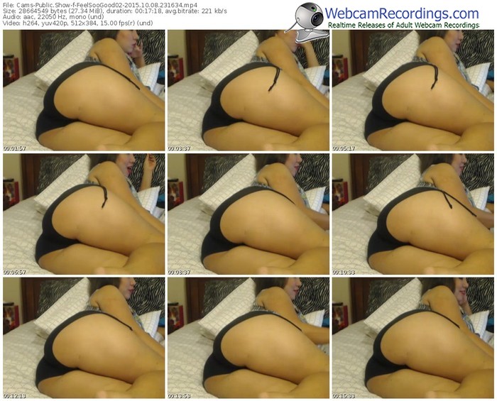 cams-feelsoogood02-webcam-show-10_08_2015-23_16_34