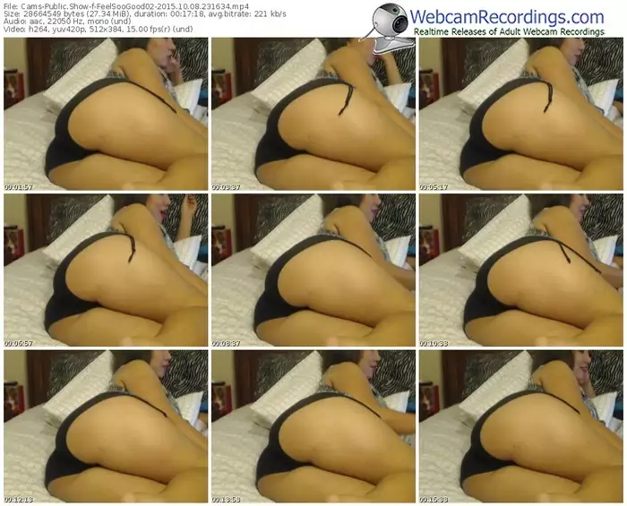 cams-feelsoogood02-webcam-show-10_08_2015-23_16_34