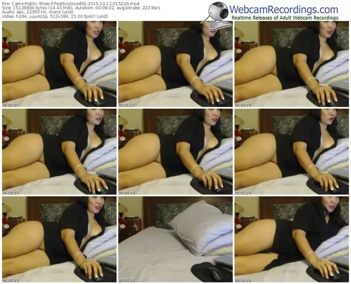 cams-feelsoogood02-webcam-show-10_12_2015-01_52_29