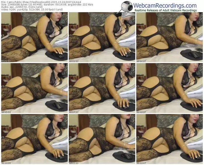 cams-feelsoogood02-webcam-show-10_24_2015-00_07_24