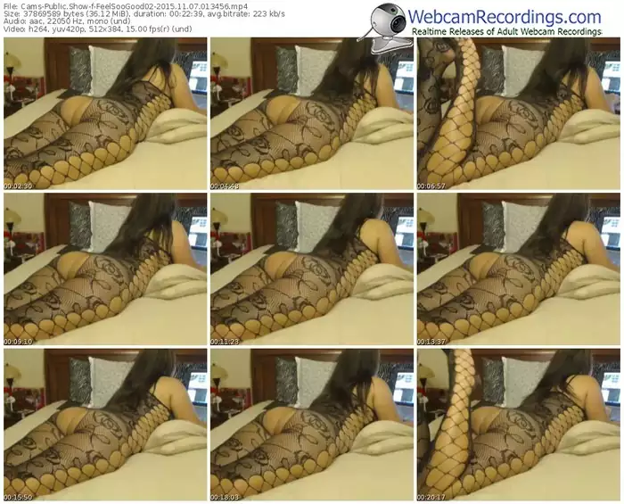 cams-feelsoogood02-webcam-show-11_07_2015-01_34_56