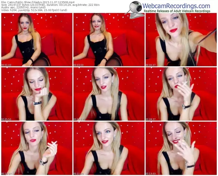 cams-nadys-webcam-show-11_07_2015-12_35_08