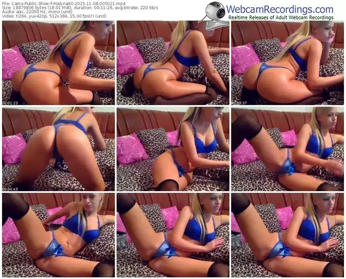 cams-malyna90-webcam-show-11_08_2015-00_50_21