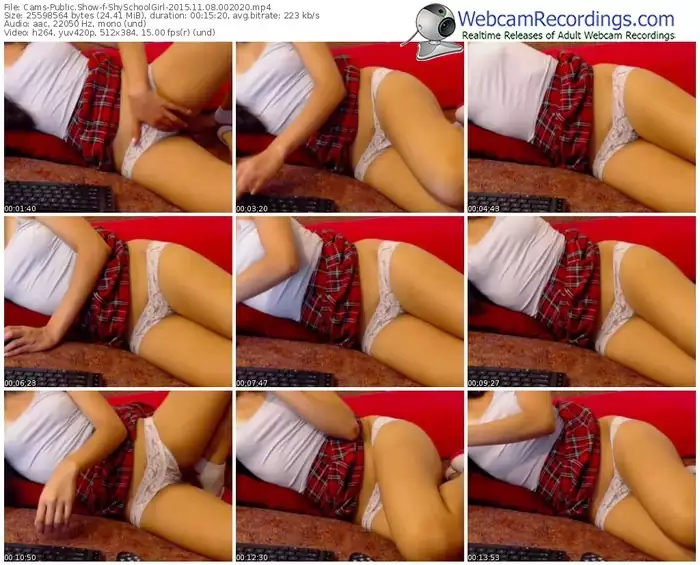 cams-shyschoolgirl-webcam-show-11_08_2015-00_20_20