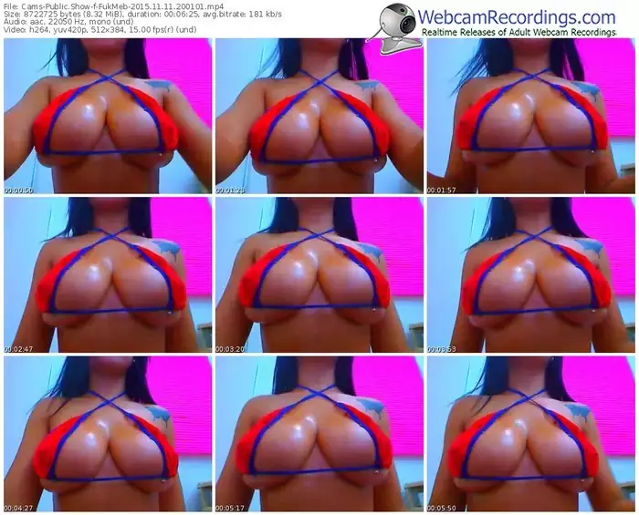 cams-fukmeb-webcam-show-11_11_2015-20_01_01