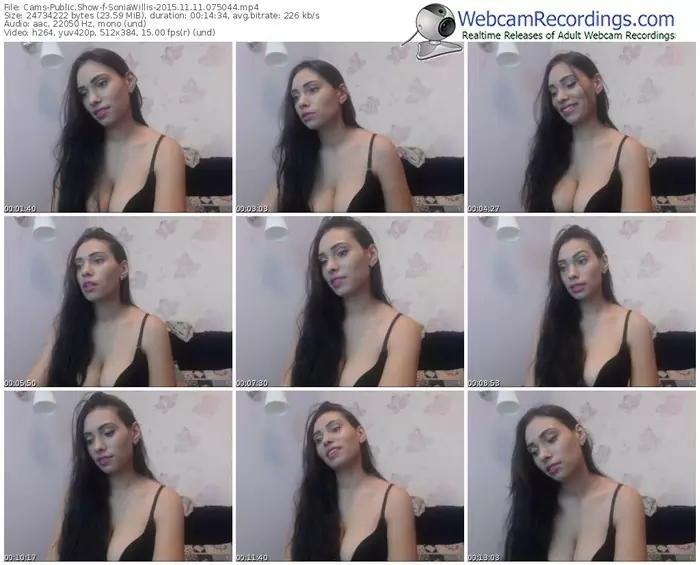 cams-soniawillis-webcam-show-11_11_2015-07_50_44