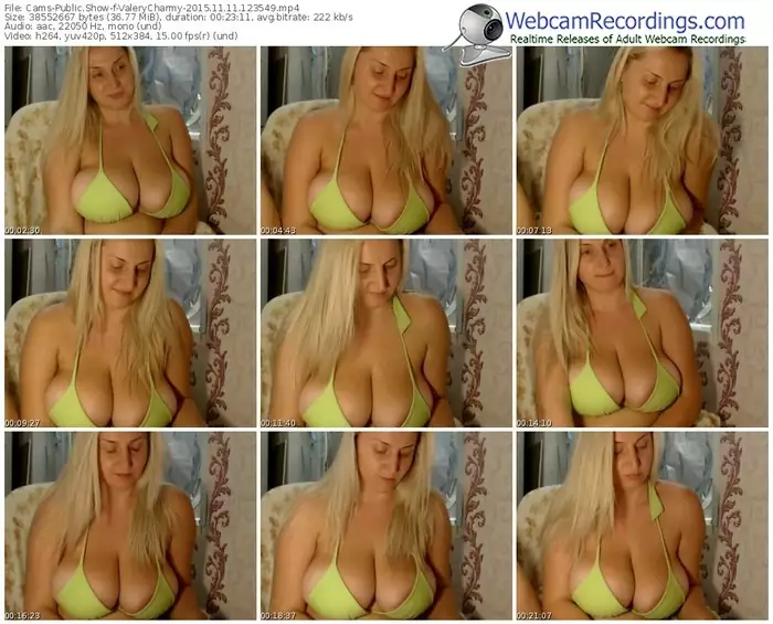 cams-valerycharmy-webcam-show-11_11_2015-12_35_49