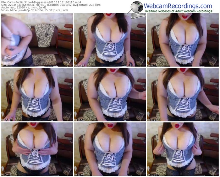 cams-bigglasses-webcam-show-11_12_2015-10_31_16