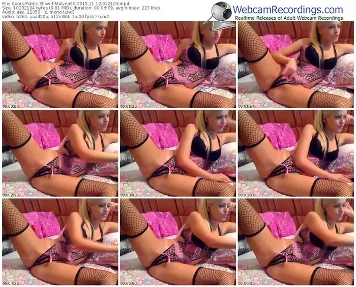 cams-malyna90-webcam-show-11_12_2015-01_21_03