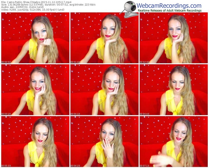cams-nadys-webcam-show-11_12_2015-10_51_17