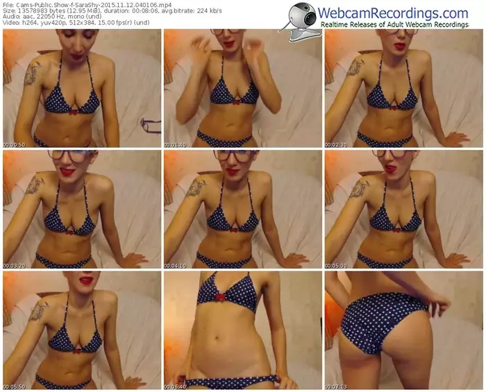 cams-sarashy-webcam-show-11_12_2015-04_01_06