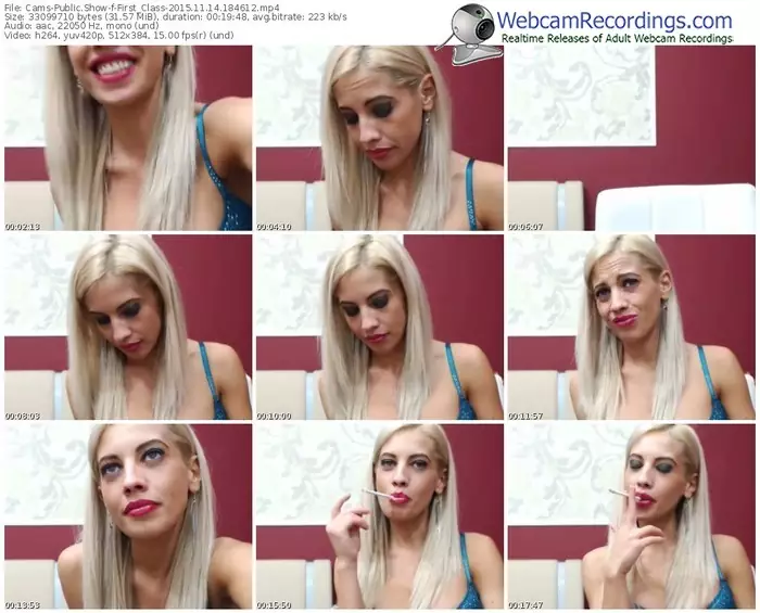 cams-first_class-webcam-show-11_14_2015-18_46_12