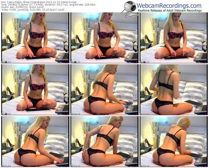 cams-sandrahot-webcam-show-11_15_2015-00_46_13