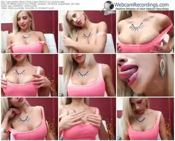 cams-first_class-webcam-show-11_16_2015-12_21_24