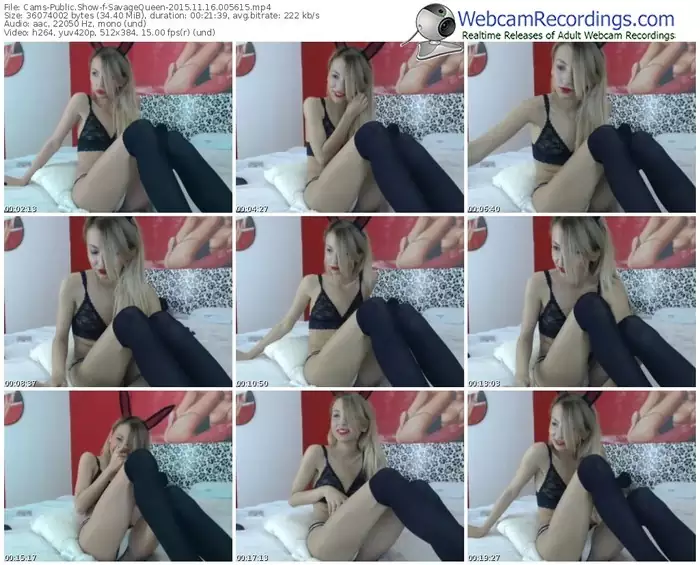 cams-savagequeen-webcam-show-11_16_2015-00_56_15