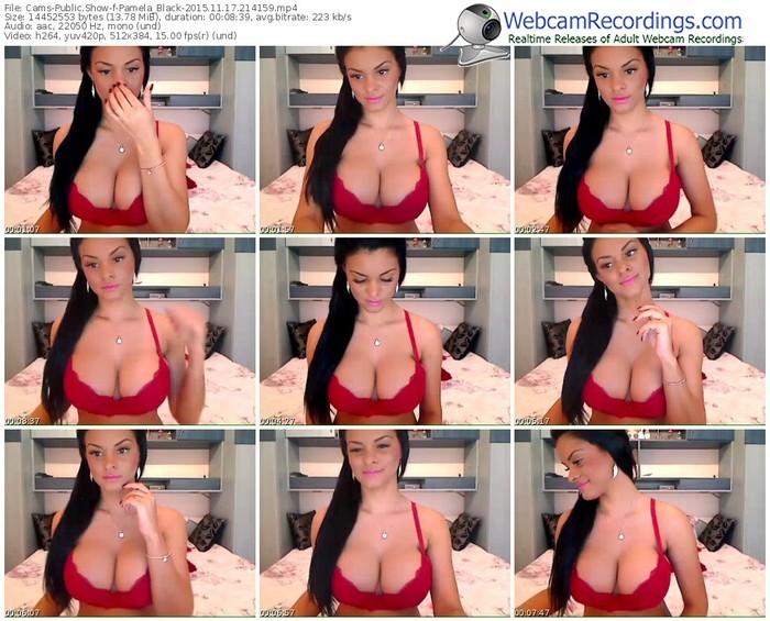 cams-pamela_black-webcam-show-11_17_2015-21_41_59