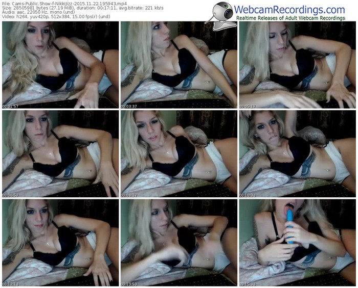 cams-nikkijizz-webcam-show-11_22_2015-19_59_43