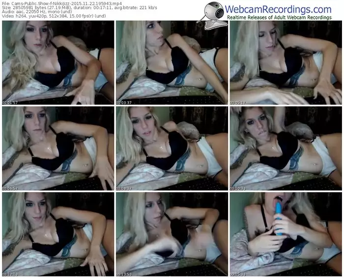 cams-nikkijizz-webcam-show-11_22_2015-19_59_43