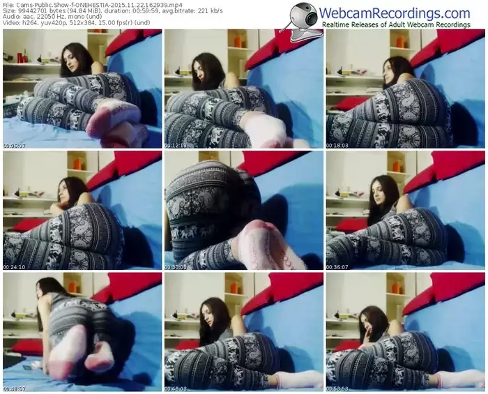 cams-onehestia-webcam-show-11_22_2015-16_29_39