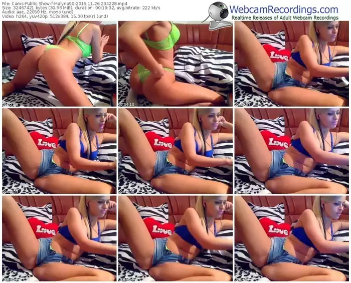cams-malyna90-webcam-show-11_26_2015-23_42_28