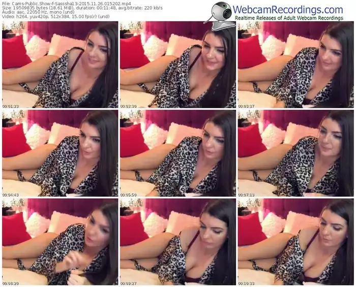cams-sasssha13-webcam-show-11_26_2015-01_52_02