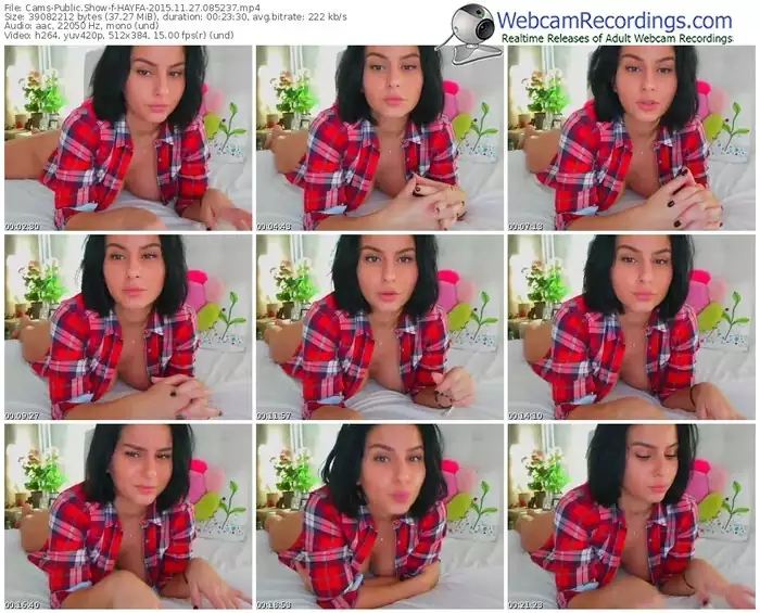 cams-hayfa-webcam-show-11_27_2015-08_52_37