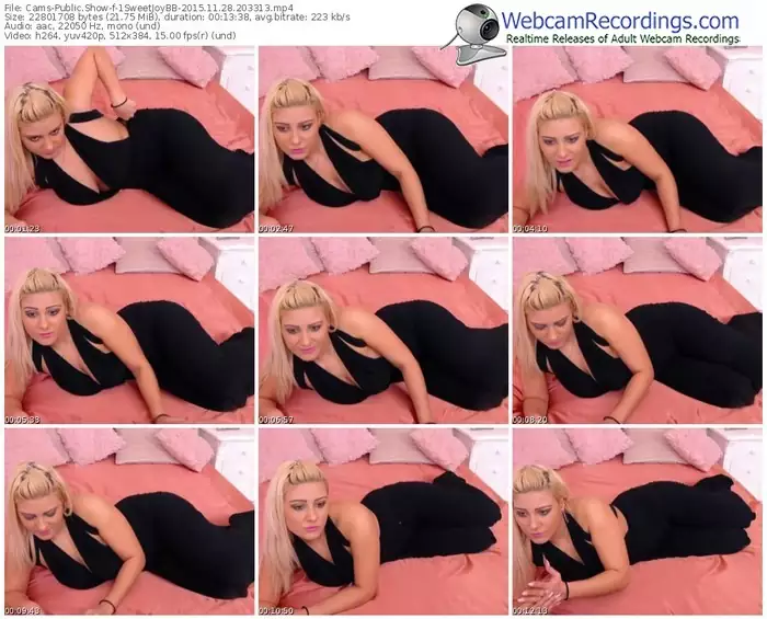 cams-1sweetjoybb-webcam-show-11_28_2015-20_33_13