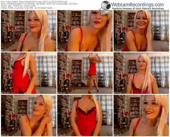 cams-englishprincess-webcam-show-11_28_2015-01_32_54