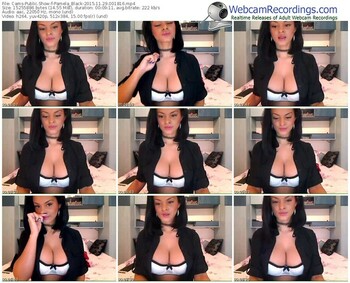 cams-pamela_black-webcam-show-11_29_2015-00_18_16