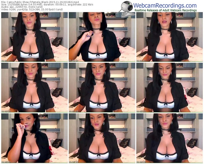 cams-pamela_black-webcam-show-11_29_2015-00_18_16
