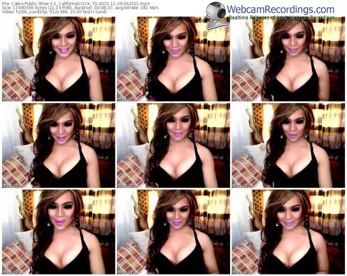 cams-1_californiacock_ts-webcam-show-11_29_2015-06_23_21