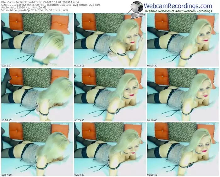 cams-christies-webcam-show-12_01_2015-20_39_14