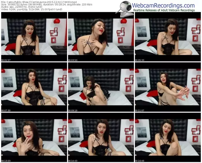 cams-carrielevine-webcam-show-12_02_2015-17_44_33