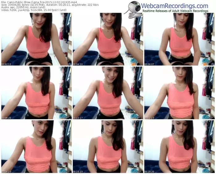 cams-gina_fire-webcam-show-12_02_2015-16_19_35