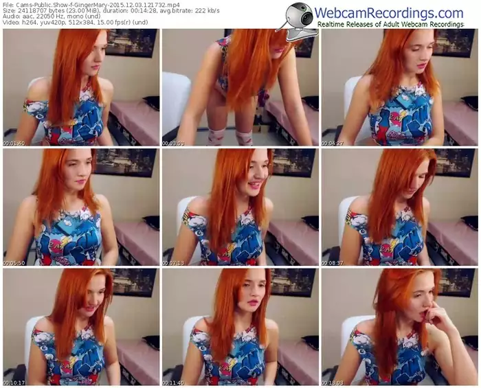 cams-gingermary-webcam-show-12_03_2015-12_17_32