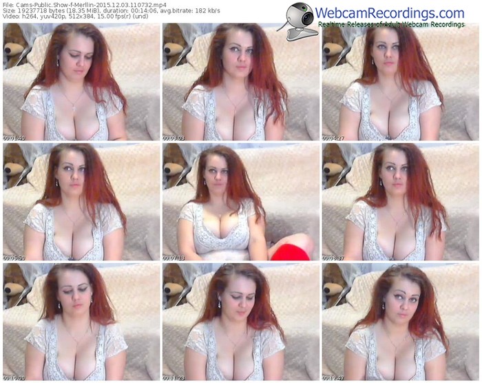 cams-merllin-webcam-show-12_03_2015-11_07_32